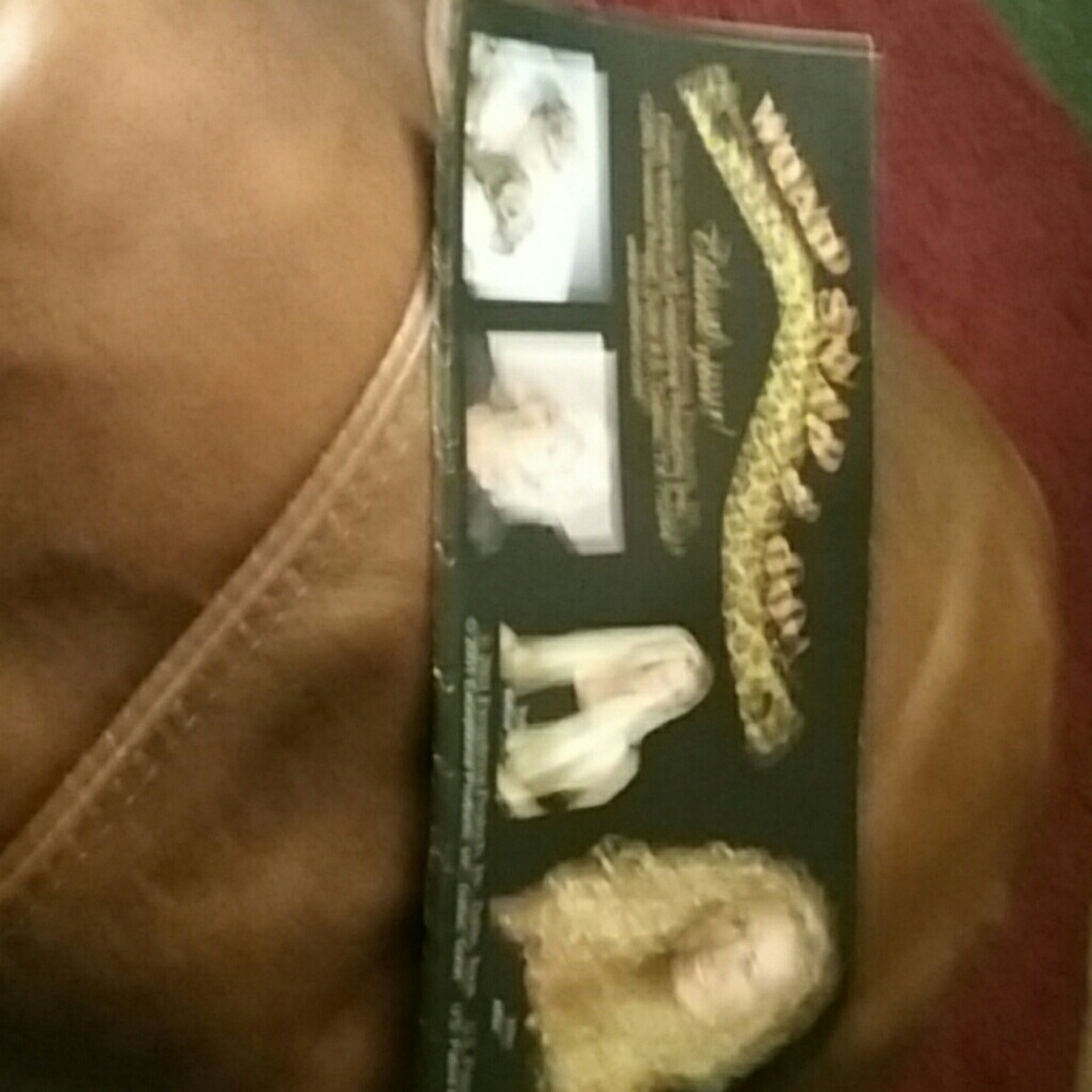 Wrap&snap&go - Picture 2 of 2